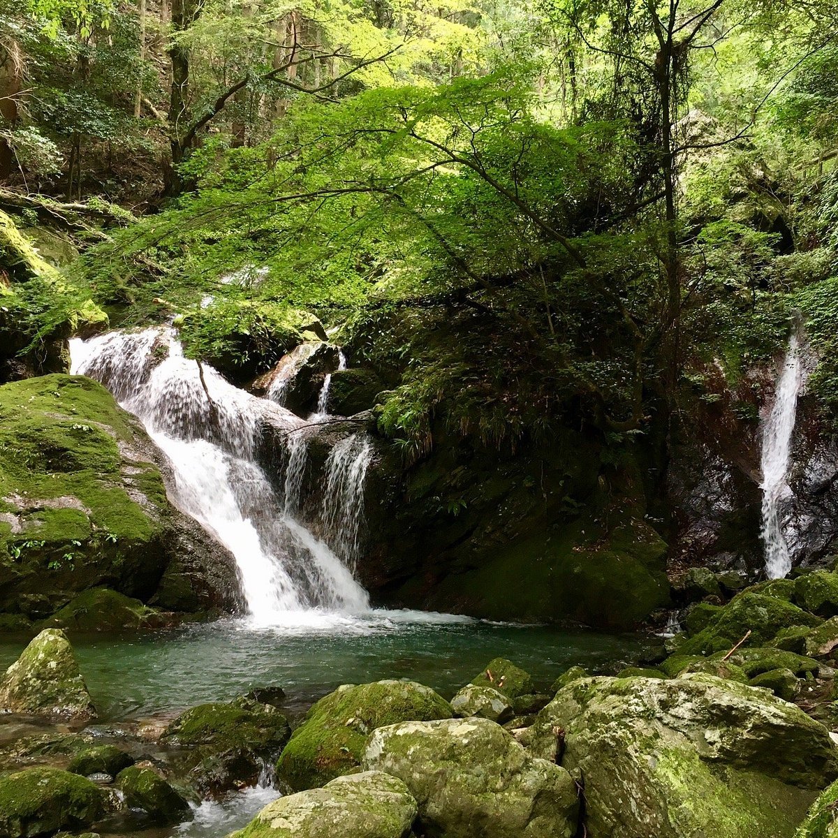 ⛩️ 아마노 이와토 신사 (에리하라노미즈아나) 이미지 4